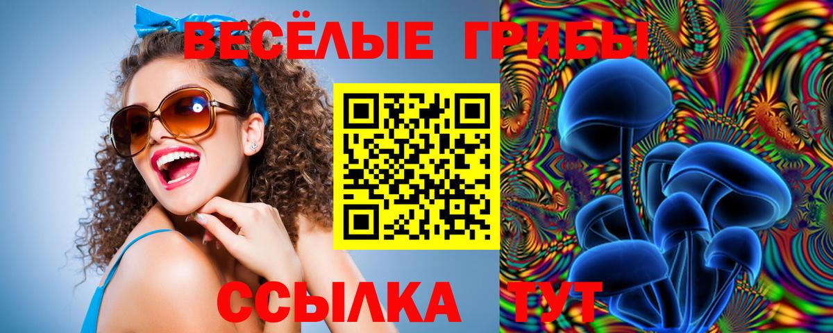 Великие Луки  Псилоцибиновые грибы прущие грибы  Вход с VPN  Галлюциногенные грибы мухоморы 